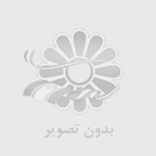 گوسفند زنده